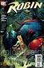 Robin #170