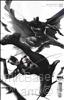 Batman (3rd Series) #87/A