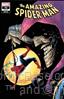Amazing Spider-Man, The (5th Series) #70/C