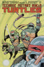 Teenage Mutant Ninja Turtles (1st Series) #26