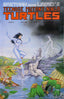 Teenage Mutant Ninja Turtles (1st Series) #27