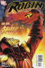 Robin #181