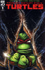 Teenage Mutant Ninja Turtles (6th Series) #1 Variation C
