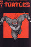 Teenage Mutant Ninja Turtles (6th Series) #1 Variation N