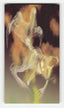 1995 WildStorm Spawn Widevision #P2 Violator Painted