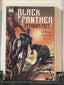 Black Panther: Panther’s Prey