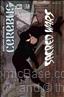 Cerebus the Aardvark #81