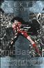 Elektra (1st Series) #1