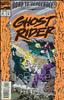 Ghost Rider (Vol. 2) #41