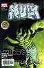 Incredible Hulk, The (2nd Series) #55