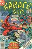Karate Kid #10