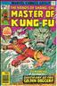Master of Kung Fu #44