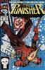 Punisher, The (2nd Series) #46