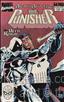 Punisher, The (2nd Series) #Anl 2