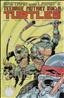 Teenage Mutant Ninja Turtles (1st Series) #26