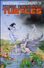 Teenage Mutant Ninja Turtles (1st Series) #27
