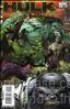 Hulk: Broken Worlds #2