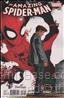 Amazing Spider-Man, The (3rd Series) #17/C