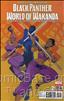 Black Panther: World of Wakanda #2