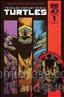 Teenage Mutant Ninja Turtles (6th Series) #1/E