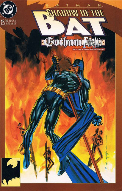 Batman: Shadow of the Bat #15 Main image