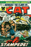The Cat #4