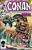 Conan the Barbarian Annual #11 Main image