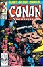 Conan the Barbarian Annual #12 Main image