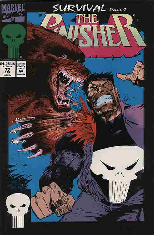 The Punisher (2nd Series) #77