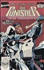 The Punisher (2nd Series) Annual #2