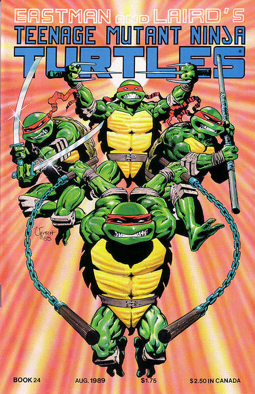 Teenage Mutant Ninja Turtles (1st Series) #24 Main image