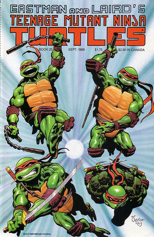 Teenage Mutant Ninja Turtles (1st Series) #25 Main image