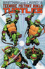 Teenage Mutant Ninja Turtles (1st Series) #25