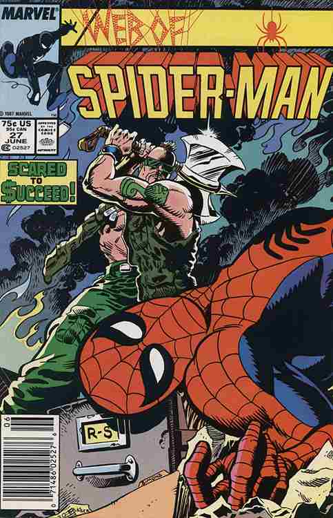 The Web of Spider-Man #27 Main image