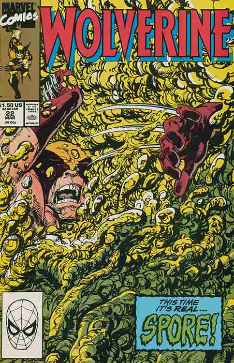 Wolverine #22 Main image