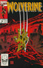 Wolverine #33