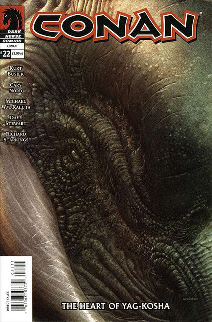Conan (Dark Horse) #22 Main image