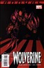 Wolverine (Vol. 3) Annual #2 Main image