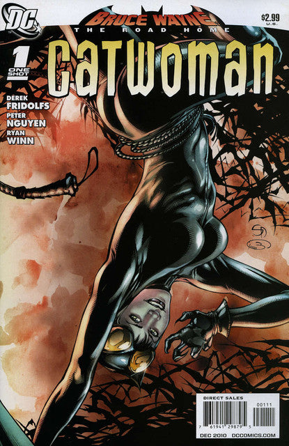 Bruce Wayne: The Road Home: Catwoman #1 Main image