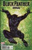 Black Panther Annual #1 Variation A Main image