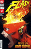 The Flash (5th Series) #55