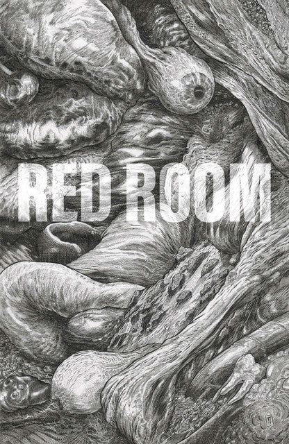 Red Room: The Antisocial Network #2 Variation B