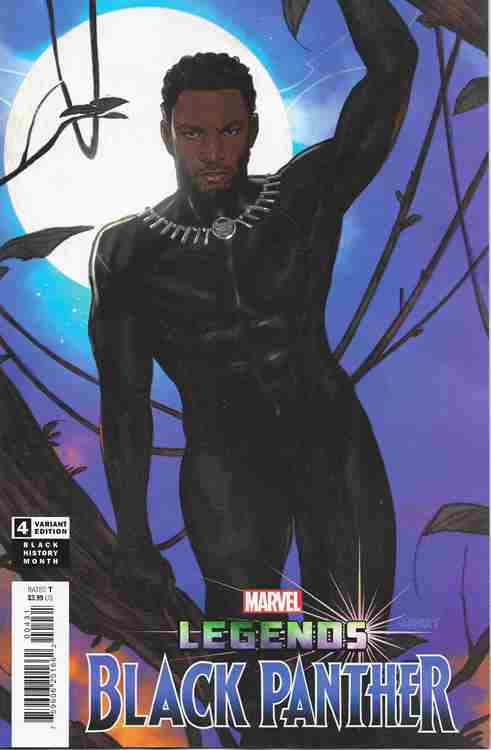 Black Panther Legends #4 Variation B Main image