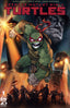 Teenage Mutant Ninja Turtles (6th Series) #1 Variation B
