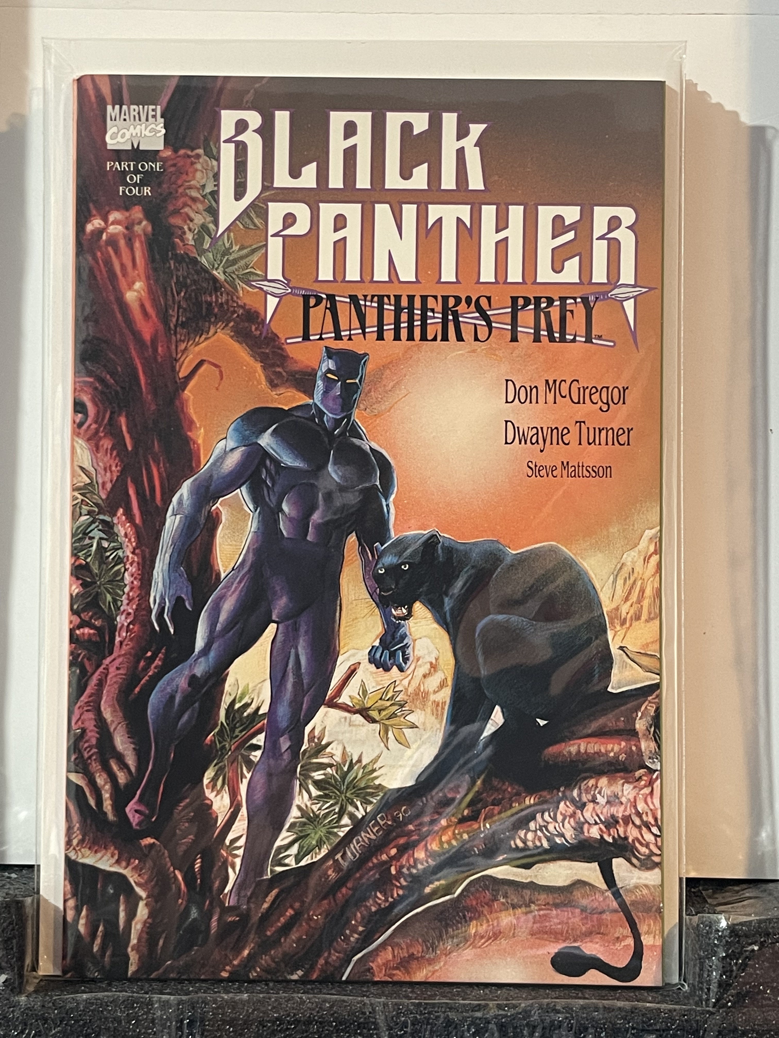 Black Panther: Panther’s Prey Main image